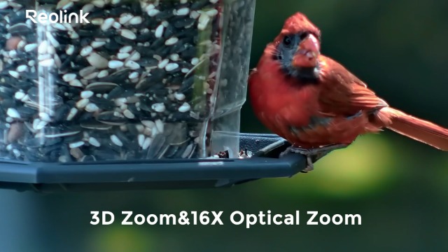 Amazon.com : REOLINK RLC-823S2 Smart 4K/8MP UHD PTZ Security